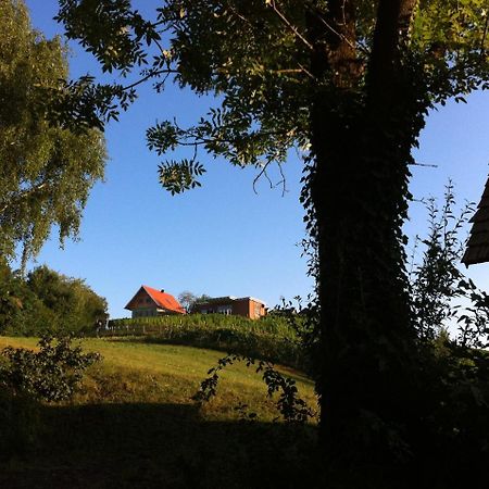 Ferienhaeuser Im Weingarten Fehring Eksteriør billede
