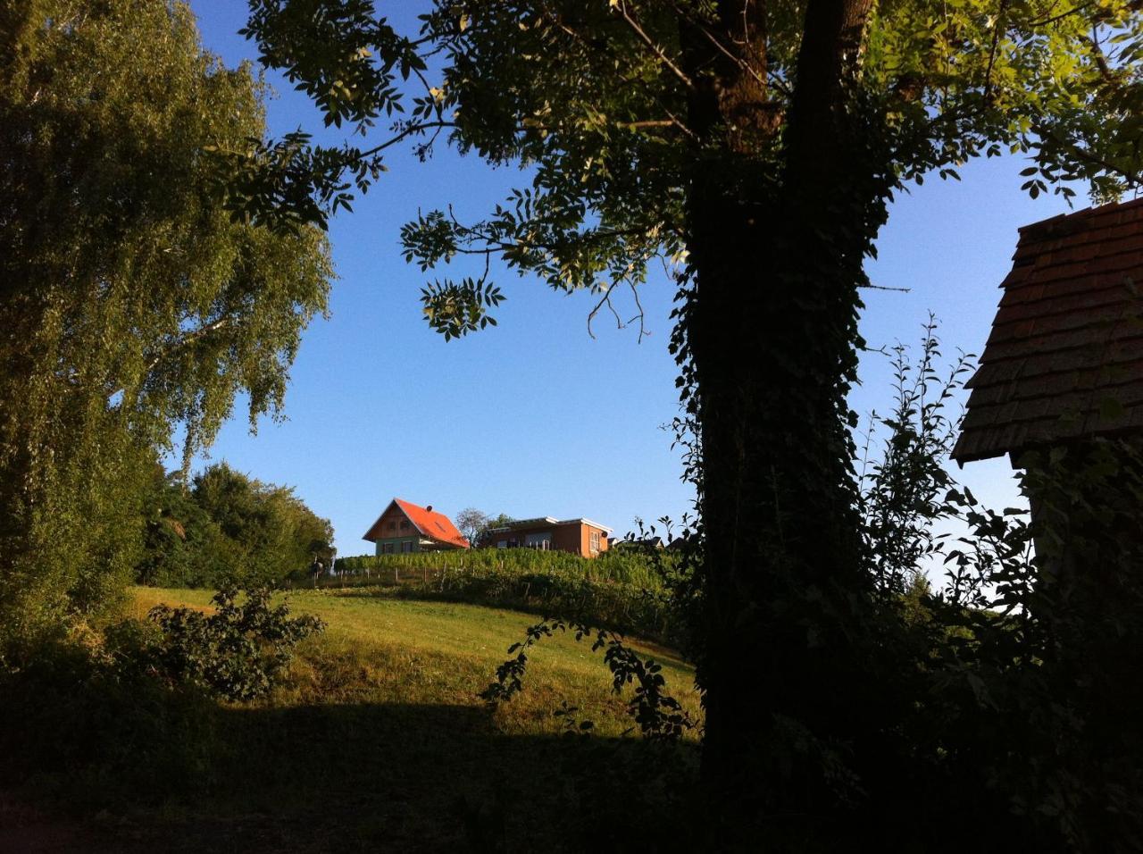 Ferienhaeuser Im Weingarten Fehring Eksteriør billede