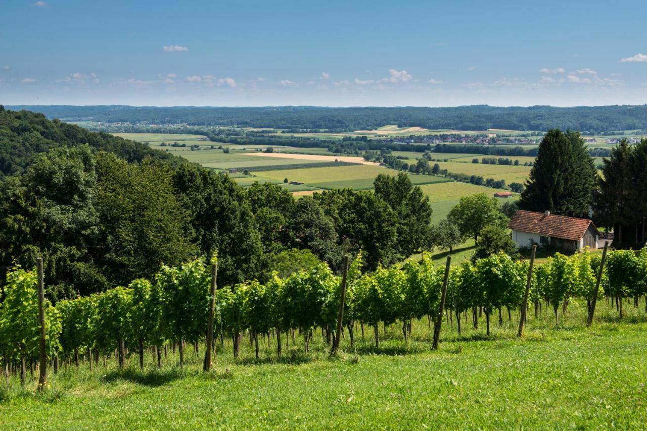 Ferienhaeuser Im Weingarten Fehring Eksteriør billede
